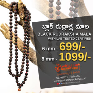 Original panchamuki Black Rudraksha 8 mm with lab tested certificate